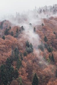 Transilvania