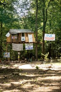 Hambacher forst